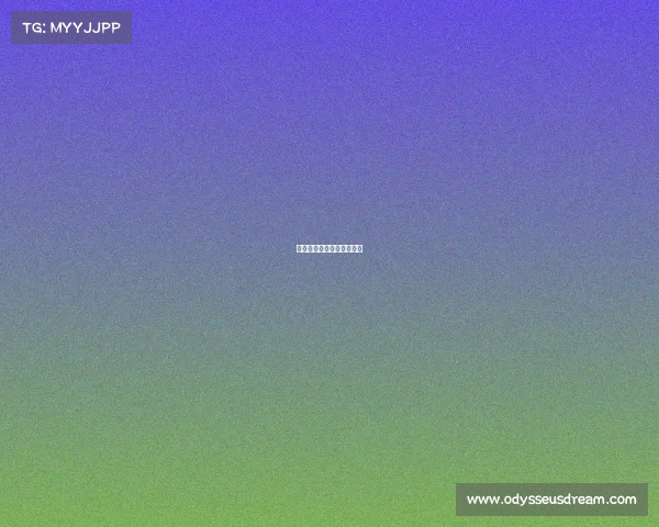 浙江财经大学电子商务竞赛